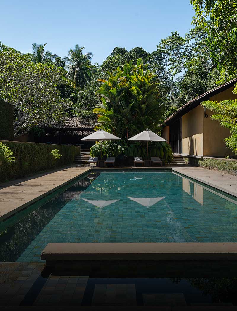 Outdoor Pool View
