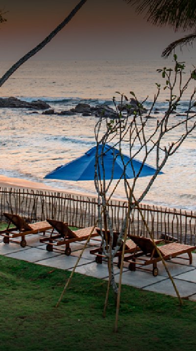Nilwella Palms