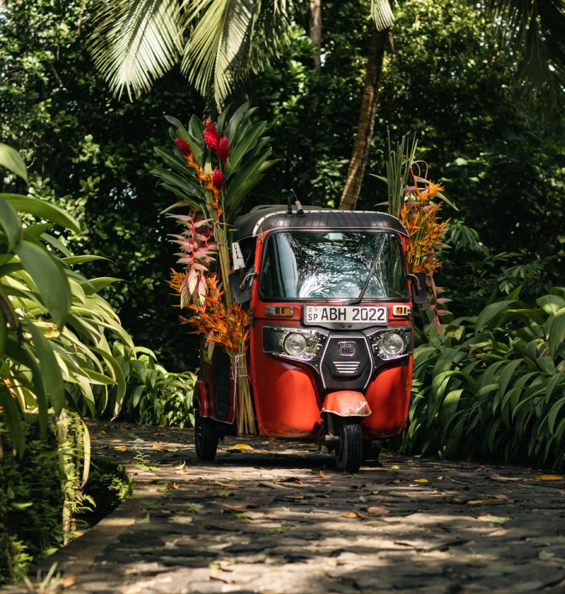 3 Wheel ride