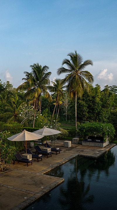 Three Sisters Plantation